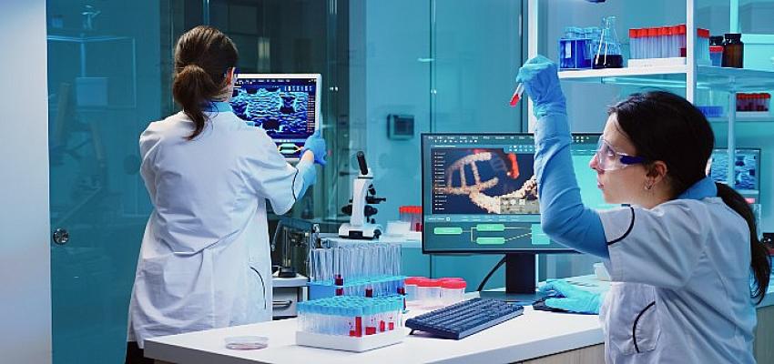 1 milyar dolarlık pazarda yerli oyuncu