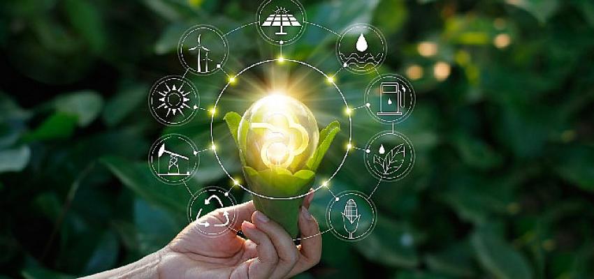 Dedeman, tüm otellerinde elektrik tüketimini yeşil enerjiden karşılayacak