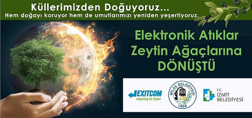 İzmit’in Atıkları Milas’ta Yanan Yerlere Umut Oluyor