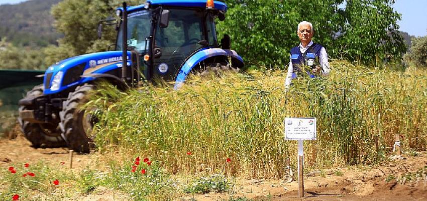 Muğla’da üreticiler bilinçli üretim yapıyor