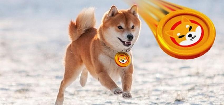 Türk Kullanıcılar Kripto Parada 1 Milyonu Aştı, Shiba Yakımı Başlıyor