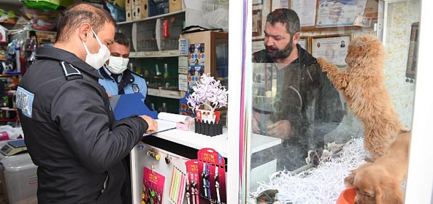 Yenişehir Belediyesi petshop işletmecilerini bilgilendirdi